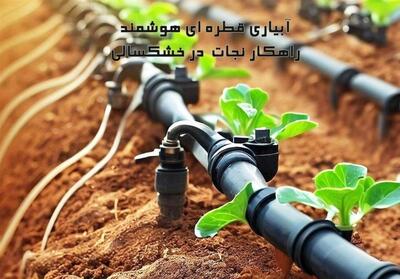آبیاری قطره ای هوشمند؛ راهکار نجات بخش کشاورزان در سال های خشک - تسنیم