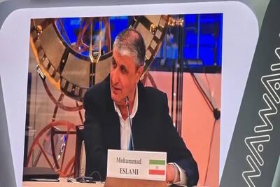 برنامه هسته‌ای ایران کاملا شفاف است