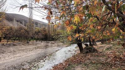 نمایی دل انگیز از پائیز هزار رنگ روستای جغدان بخش ناغان + فیلم