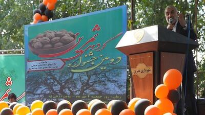 جشنواره گردو در بخش  ثمرین   اردبیل برگزار شد