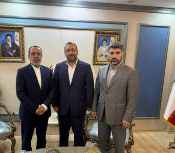 تشریح توانمندی‌ها و مزیت‌های صادراتی چادرملو در بازار عراق
