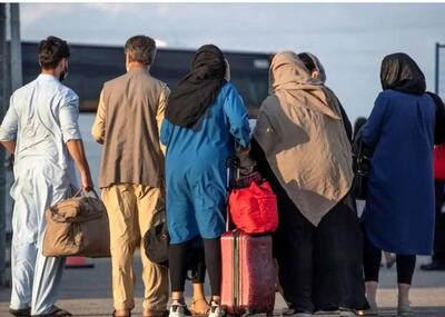 مقصد اصلی افغانستانی‌های تحصیل‌کرده مشخص شد