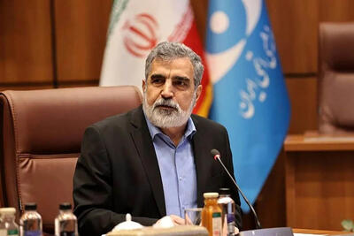 سخنگوی سازمان انرژی اتمی: نیروگاه‌های جدیدی در جنوب کشور ساخته خواهد شد