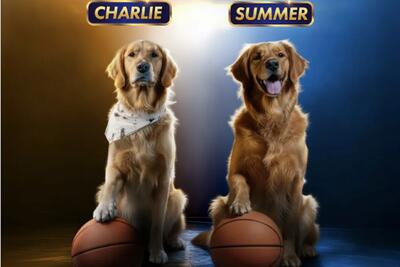 سگ‌های فیلم Air Bud Returns از بین ۵۰۰۰ انتخاب شدند - گیمفا