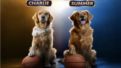 خبر روز | سگ‌های فیلم Air Bud Returns از میان ۵۰۰۰ سگ انتخاب شدند | گلی شی