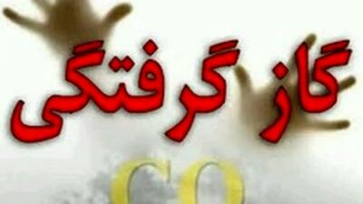 مسمومیت ۴ عضو یک خانواده با گاز مونوکسیدکربن در کامیاران