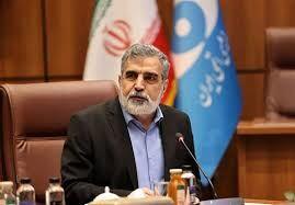 کمالوندی: ایران و روسیه درباره ساخت نیروگاه‌های بزرگ‌تر از بوشهر مذاکره کردند