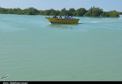 ظرفیت‌های کم‌نظیر گردشگری در جنگل‌های حرا و روستای سهیلی قشم - تسنیم