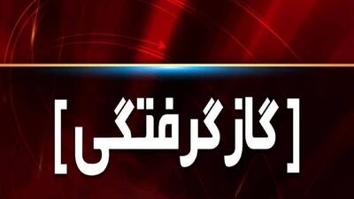  مسمومیت چهار عضو یک خانواده با گاز مونوکسیدکربن در کامیاران
