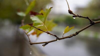 هواشناسی خوزستان دو هشدار صادر کرد