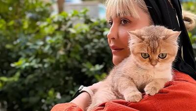 مریم معصومی، بازیگر، و رفیق پشمالویش موکا؛ زندگی در کنار گربه بریتیش! (عکس)