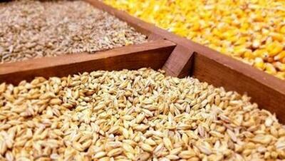 اعلام سقف ارزی جدید برای غلات و روغن خام در فرآیند ثبت سفارش