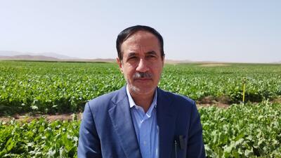 کاهش ۲۵ میلیارد مترمکعبی مصرف آب بخش کشاورزی/ لزوم توسعه آبیاری هوشمند