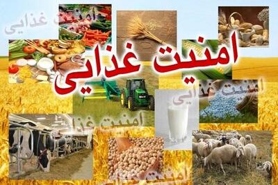 ‌امنیت غذایی خط مقدم امروز کشور است 