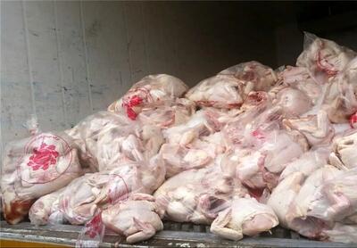ضبط و معدوم سازی بیش از ۶ تن گوشـت مرغ فاسد در قم