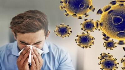 ویروس‌های تنفسی در شهریور؛ کرونا با ۱۵.۱ درصد پیشتاز است!