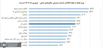 نرخ تورم رکورد زد/ تورم خوراکی‌ها و آشامیدنی‌ها در شهریور ۵۷.۳ درصد اعلام شد/ نان و غلات حدود ۹۵ درصد گران شد