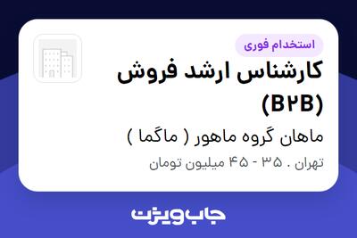استخدام کارشناس ارشد فروش (B2B) - آقا در ماهان گروه ماهور ( ماگما )