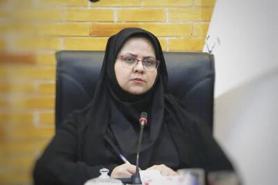 نظامی: دولت با مشوق های فرزندآوری از خانواده های چند قلو حمایت می کند