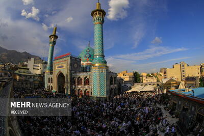 برگزاری جشن ولادت حضرت عبدالعظیم حسنی(ع) در امامزاده صالح(ع)