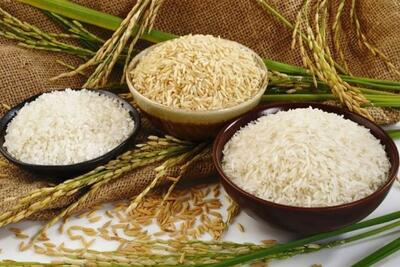 راهنمای خرید برنج ایرانی؛ بهترین زمان خرید و معرفی انواع برنج معروف