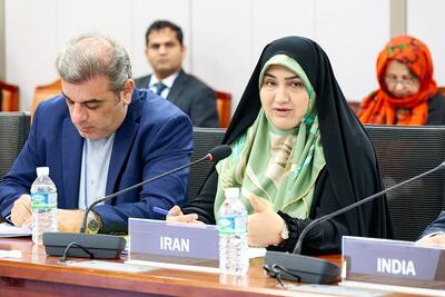 ابتکار جمهوری اسلامی در تصویب طرح حفاظت از محیط زیست در برابر تحریم‌ها
