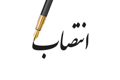 دستیار اجتماعی وزیر تعاون منصوب شد