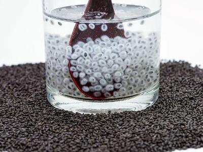 آشنایی با خواص تخم شربتی