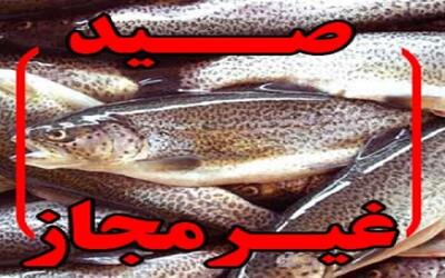 دستگیری چهار صیاد متخلف در دریاچه چم‌شیر گچساران