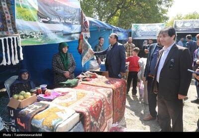 برگزاری دومین جشنواره گردوی ثمرین در میان استقبال پرشور مردم و مسئولان- عکس صفحه استان تسنیم | Tasnim