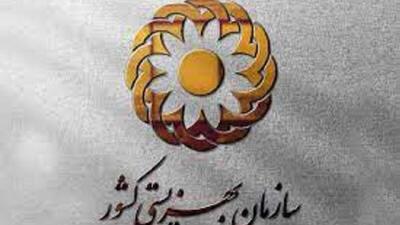 فرزندان مراکز بهزیستی به شرط توانمندسازی شغلی و روانی ترخیص می‌شوند