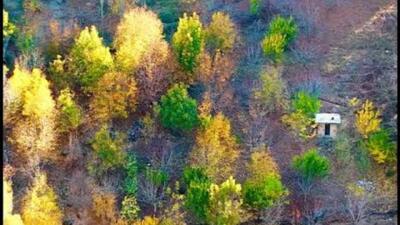 در دل سبز لرستان؛ روستای درسون، نگین جنگل‌های سپیددشت