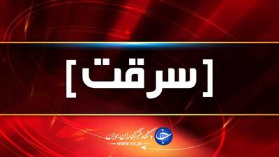 دستگیری عوامل سرقت در فارس؛ از دستگیری سارق محموله کامیون‌ها تا دزدی از اماکن