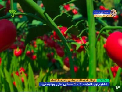 جوشانده ببعی ها رو از دست عطسه نجات داد!