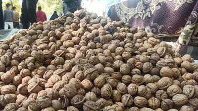 شهر سهرورد مهیای پنجمین دوره جشنواره ملی گردو