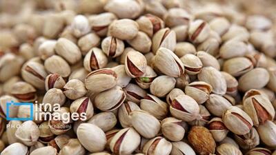 پسته خراسان شمالی؛ ارزآور، اما ناشناخته