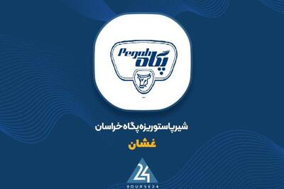 «غشان» در 8 ماهه پرفروش بود