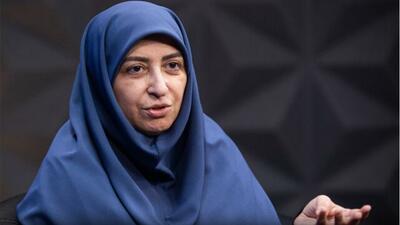 انصاری: معضلات زیست‌محیطی بدون مشارکت زنان و بخش خصوصی حل نمی‌شود