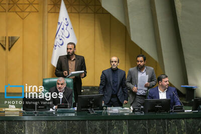 نایب رئیس مجلس: دولت گزارش عملکرد یکساله برنامه هفتم را به موقع ارائه کرد