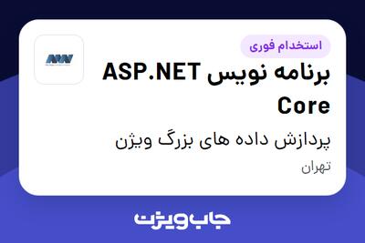استخدام برنامه نویس ASP.NET Core در پردازش داده های بزرگ ویژن