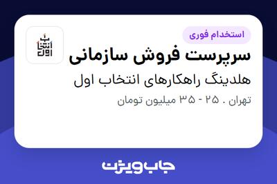 استخدام سرپرست فروش سازمانی در هلدینگ راهکارهای انتخاب اول