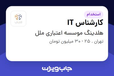استخدام کارشناس IT در هلدینگ موسسه اعتباری ملل