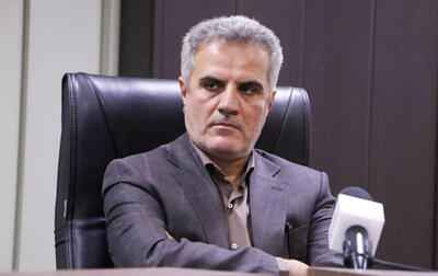 فرماندار شیراز: بر مبنای قانون چیزی به نام «یاوران شورای شهر» نداریم