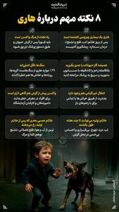نوراینفو| هشت نکته مهم درباره هاری !