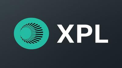 رکوردشکنی پلاسما با حمایت نهنگ‌ها؛ تحلیلگران درباره ادامه مسیر XPL چه می‌گویند؟