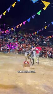 فیلم پرتاب شدن گاوباز در مسابقه گاوبازی
