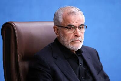 رئیس شورای امنیت کشور: در بحث اتباع بخش زیادی از اخباری که منتشر می‌شد، غیرواقعی بود + فیلم