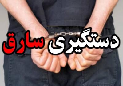 دستگیری سارق حرفه‌ای منزل در فردیس