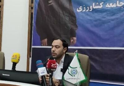 جهش 16 درصدی تولید گندم با طرح جهادی بسیج کشاورزی - تسنیم