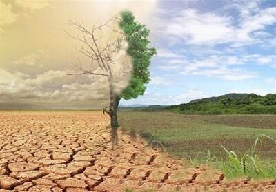 آیا جهنم دارالشفای گناهکاران است؟ - تسنیم